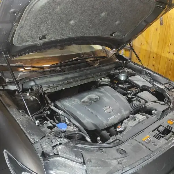 2PCS Gas Struts For Mazda CX-5 CX5 KF 2017-2025 Front Hood Bonnet Modify Lift Support Shock Damper Absorber Prop Rods
2PCS Gas Struts For Mazda CX-5 CX5 KF 2017-2025 Front Hood Bonnet Modify Lift Support Shock Damper Absorber Prop Rods