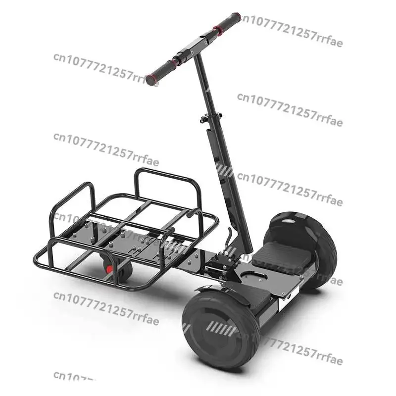 Trolley Light Food Delivery Scooter Foldable Lever
Trolley Light Food Delivery Scooter Foldable Lever