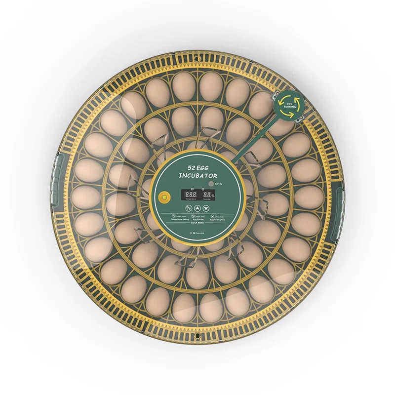 New Model Commercial Bird Egg Incubator Hatching Machine For Sale
New Model Commercial Bird Egg Incubator Hatching Machine For Sale