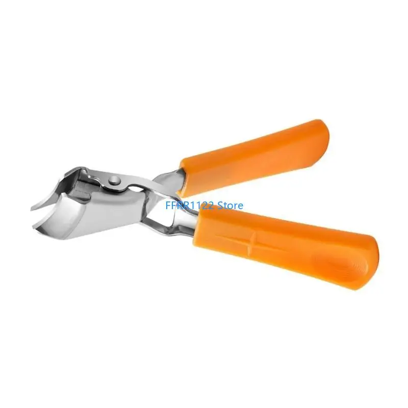 Y1UF Professional Wide Jaw Slanted Toenail Trimmer Stainless Steel Pedicure for Thick Nails Suitable for Seniors and Athletes
Y1UF Professional Wide Jaw Slanted Toenail Trimmer Stainless Steel Pedicure for Thick Nails Suitable for Seniors and Athletes