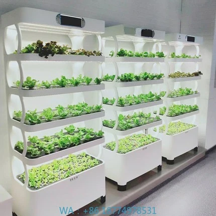 Iydroponic Automated Grow Systemntelligent Hydroponic Growing System Led Grow Lights Vertical H
Iydroponic Automated Grow Systemntelligent Hydroponic Growing System Led Grow Lights Vertical H