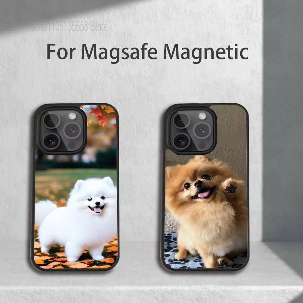 Cute Pomeranian Dogs Phone Case For iPhone 17,16,15,14,13,12,11,Pro,Max,Plus,Mini,SE4,E Magnetic Magsafe Wireless Charging
Cute Pomeranian Dogs Phone Case For iPhone 17,16,15,14,13,12,11,Pro,Max,Plus,Mini,SE4,E Magnetic Magsafe Wireless Charging
