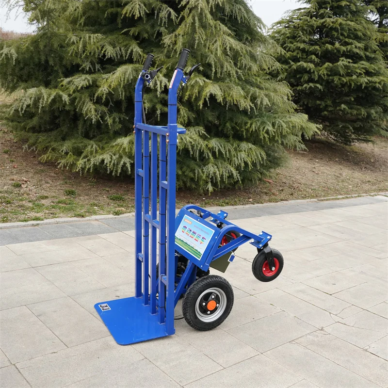 High Performance Electric Folding Trolley Portable Iron Cargo Transport With Four-Wheel Wheel
High Performance Electric Folding Trolley Portable Iron Cargo Transport With Four-Wheel Wheel