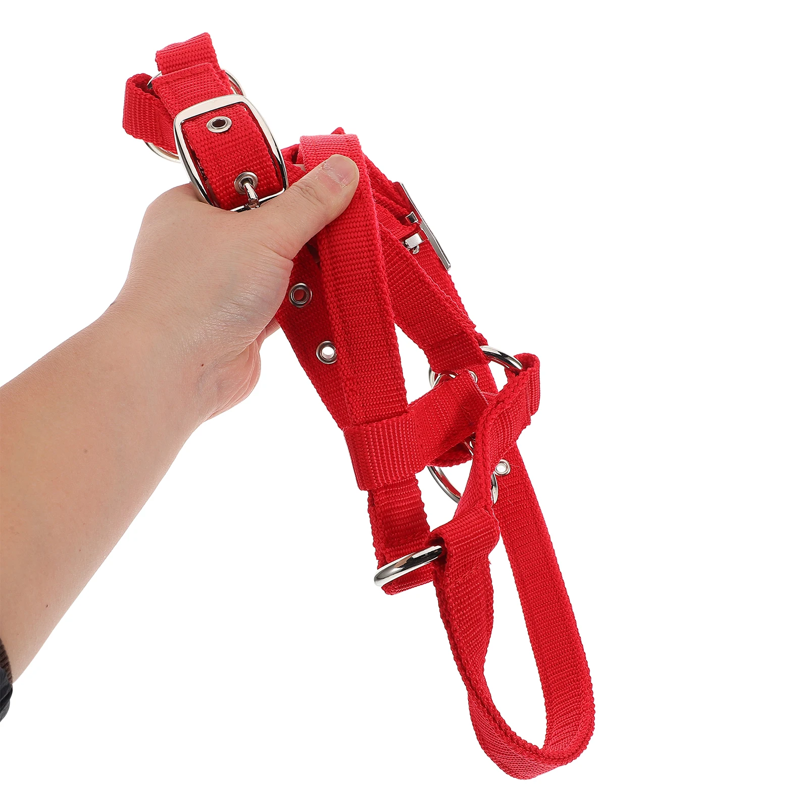 Equestrian Training Supplies Large Horse Halter Draft Nylon Rope Adjustable Webbing Straps Breakaway Safety
Equestrian Training Supplies Large Horse Halter Draft Nylon Rope Adjustable Webbing Straps Breakaway Safety