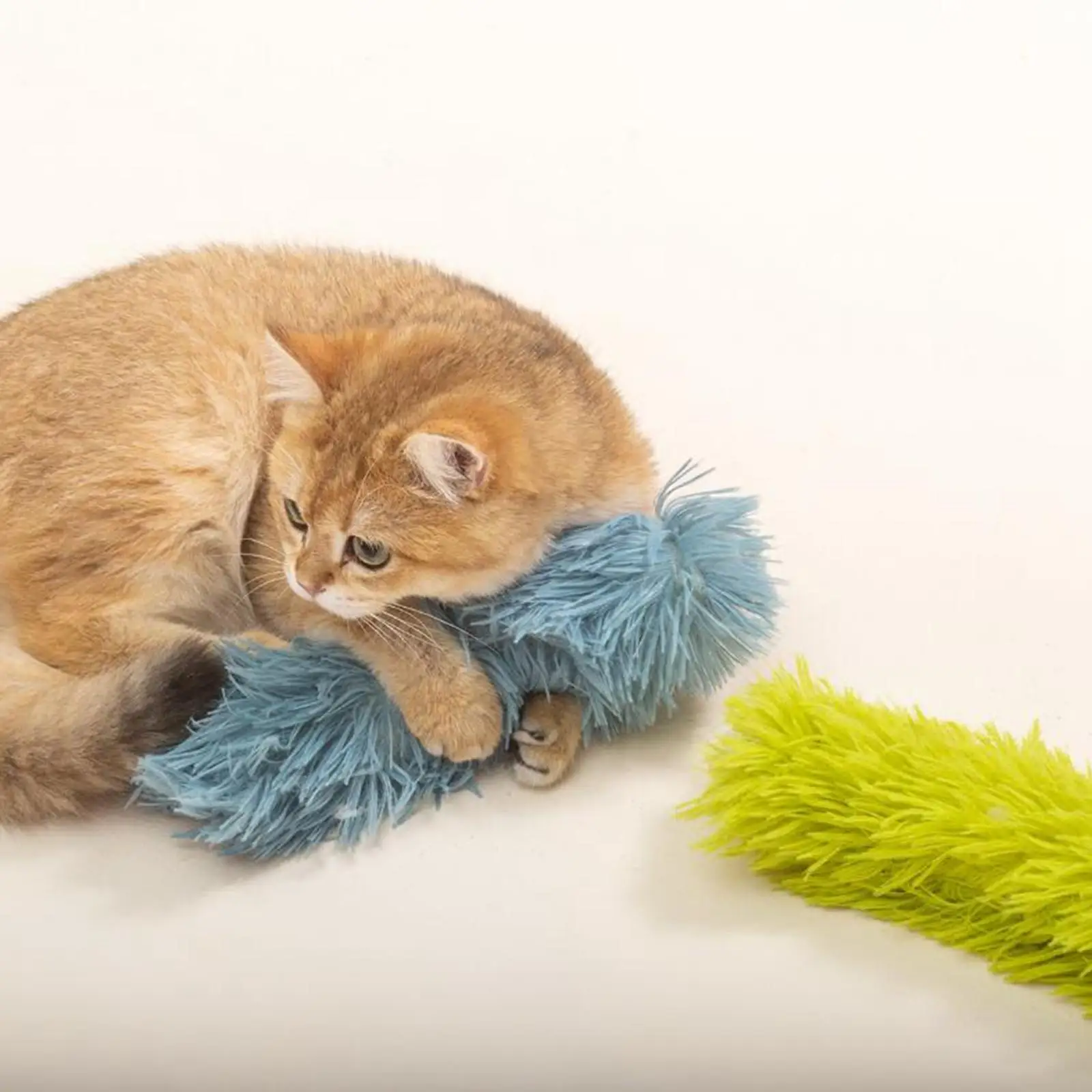 Catnip Pillow Toy for Cat Interactive Chasing Exercise Soft Plush Chew Stuffed Pet Accessories
Catnip Pillow Toy for Cat Interactive Chasing Exercise Soft Plush Chew Stuffed Pet Accessories