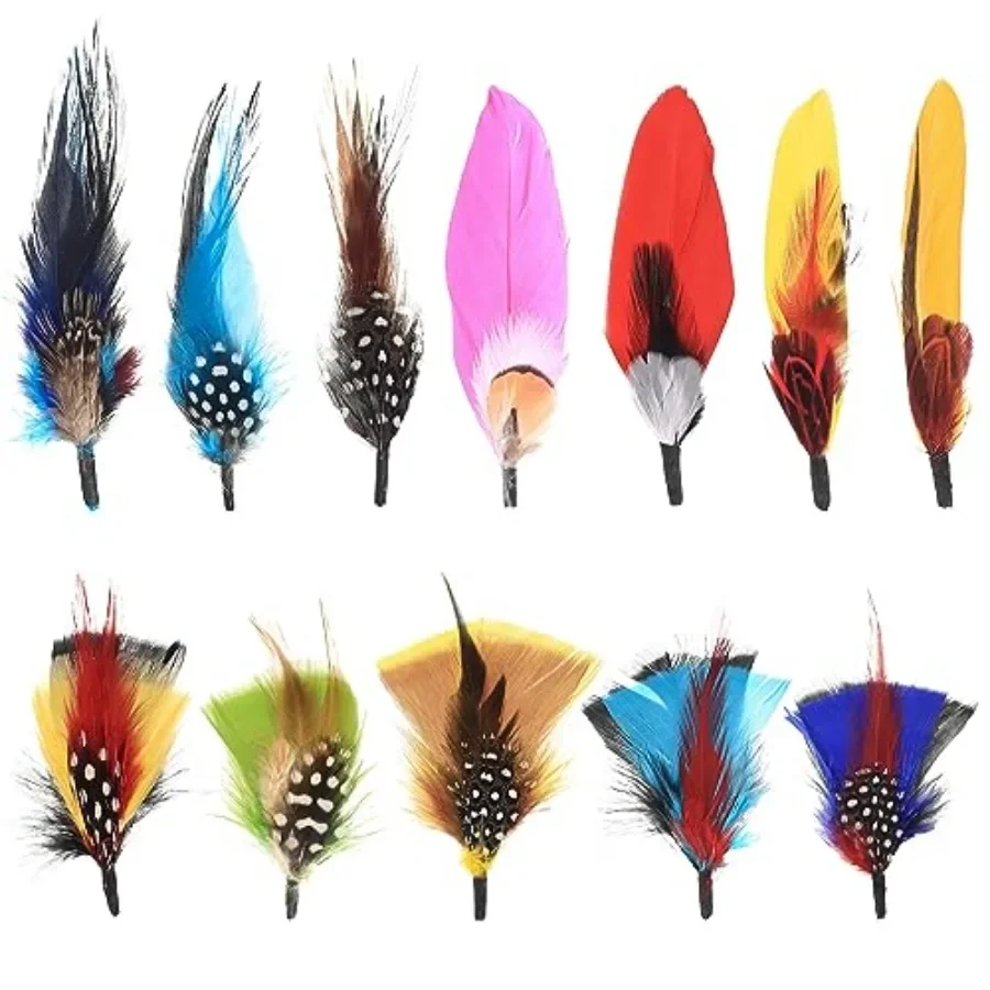 Hat Feathers, 12 Pcs Natural Feathers, Mixed Assorted Cowboy Hats Feathers, Crafts Feathers for Men Hats, Western Cowboy Hats,
Hat Feathers, 12 Pcs Natural Feathers, Mixed Assorted Cowboy Hats Feathers, Crafts Feathers for Men Hats, Western Cowboy Hats,