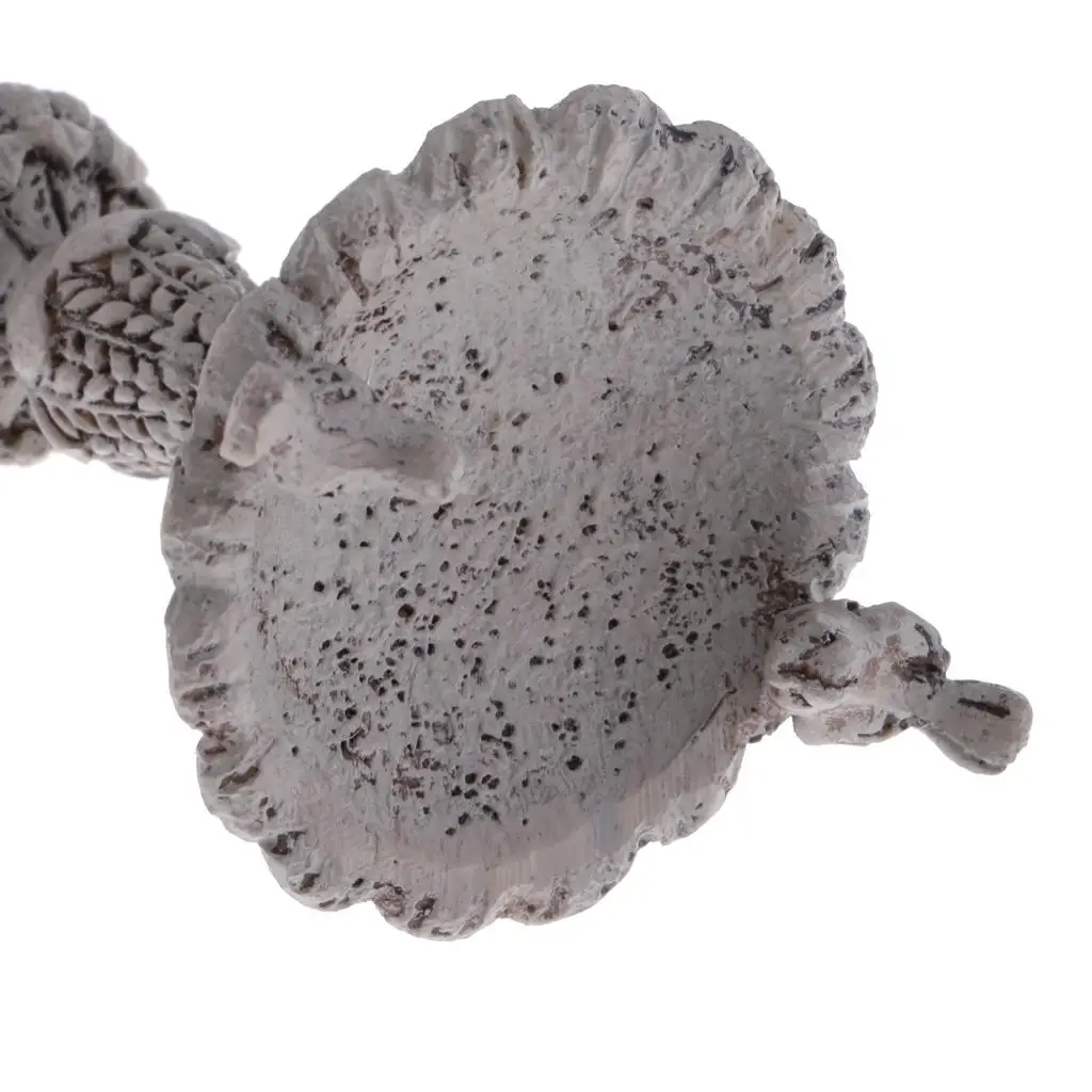 Dollhouse Miniature Garden Birdbath Fountain Resin Gray 1 12 Scale Furniture Accessories for Fairy House Yard
Dollhouse Miniature Garden Birdbath Fountain Resin Gray 1 12 Scale Furniture Accessories for Fairy House Yard