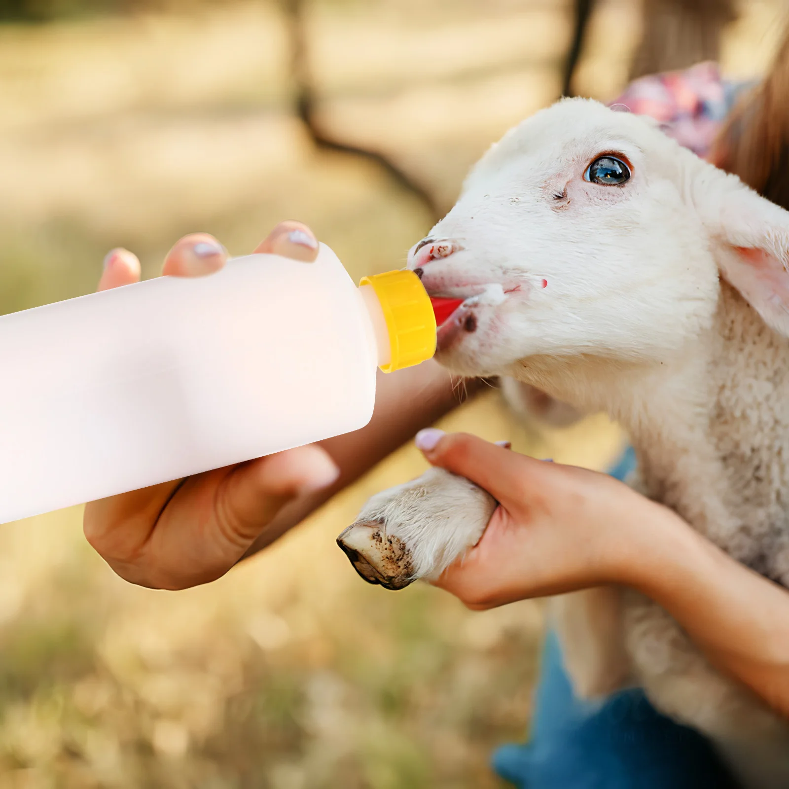 1 set Lamb Feeding Bottles 400ml Durable Anti Bite Wear Resistant Suitable for Piglet Young Calf Goat Bulk Bottles Pet Nursing
1 set Lamb Feeding Bottles 400ml Durable Anti Bite Wear Resistant Suitable for Piglet Young Calf Goat Bulk Bottles Pet Nursing