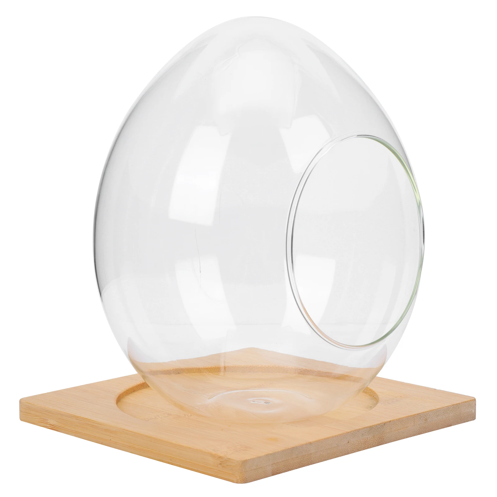 Egg Shaped Glass Bottle Hydroponic Planter Micro L Plants Terrarium Vase Desktop Container Ecological DIY Home Decoration
Egg Shaped Glass Bottle Hydroponic Planter Micro L Plants Terrarium Vase Desktop Container Ecological DIY Home Decoration