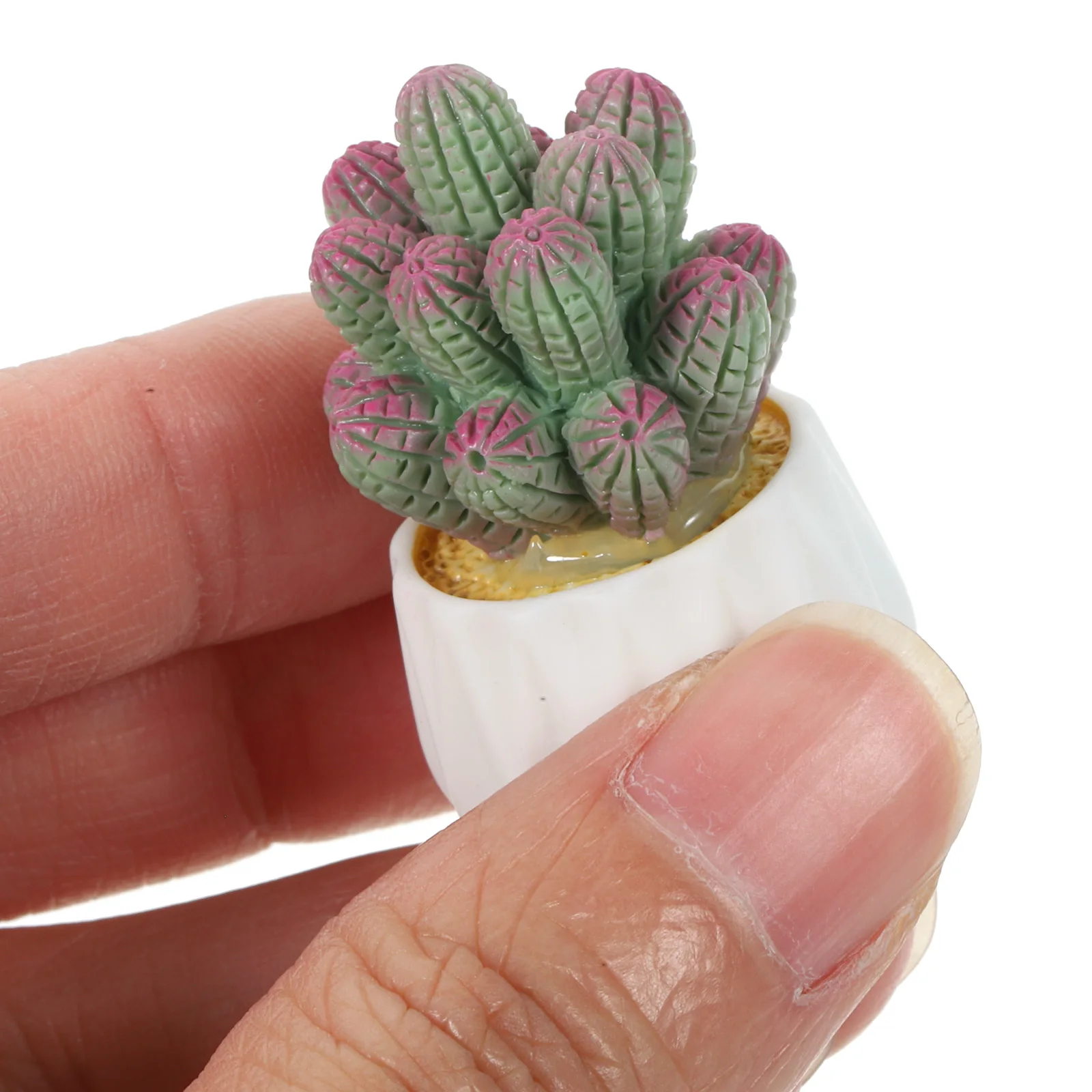 4pcs Mini Cactus Ornament Lovely Resin Succulents Decor Desktop Office Car Home Faux Plant Pot Craft Miniature Bonsai
4pcs Mini Cactus Ornament Lovely Resin Succulents Decor Desktop Office Car Home Faux Plant Pot Craft Miniature Bonsai