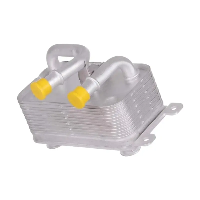 Oil Cooler Replacement Part 17217519213 17117534896 For BMW X5 E53, 320I 328I, 335-N29R
Oil Cooler Replacement Part 17217519213 17117534896 For BMW X5 E53, 320I 328I, 335-N29R