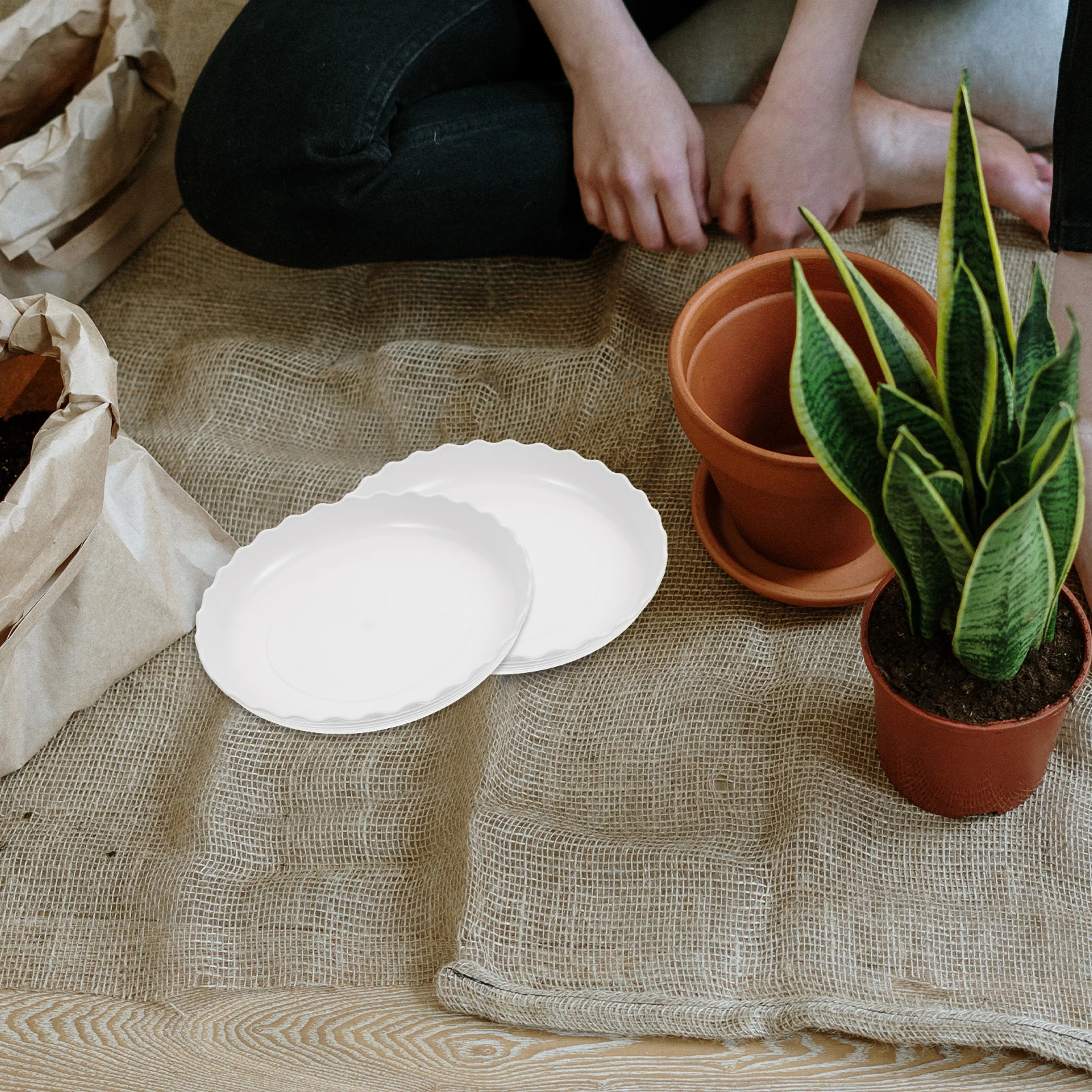 10pcs Saucers Thick Sturdy PP Flower Pot Saucers Drip Trays Circular Base Pads Indoor Plants Water Tray Non Holes
10pcs Saucers Thick Sturdy PP Flower Pot Saucers Drip Trays Circular Base Pads Indoor Plants Water Tray Non Holes