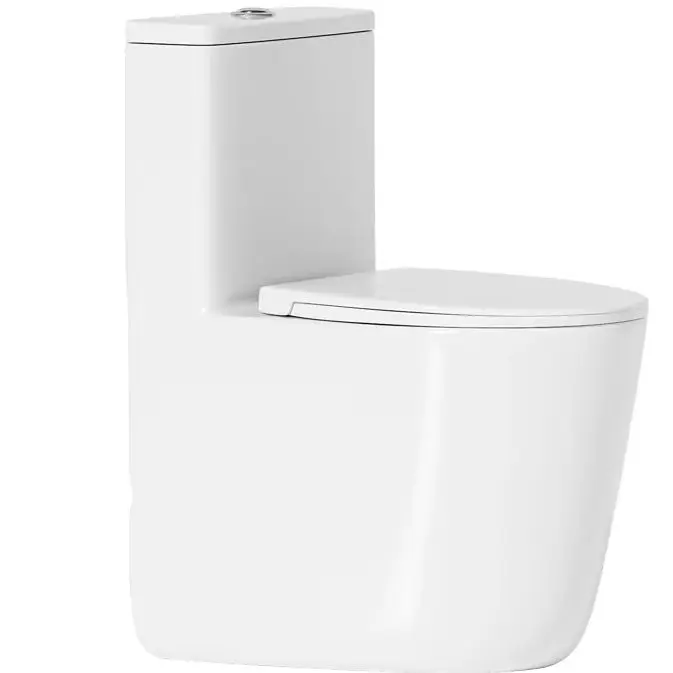 Floor Mounted & Wall Discharge Toilet Straight Flush 52CM Compact Large Diameter Anti-Blocking Deodorant WC For Small Apartment
Floor Mounted & Wall Discharge Toilet Straight Flush 52CM Compact Large Diameter Anti-Blocking Deodorant WC For Small Apartment