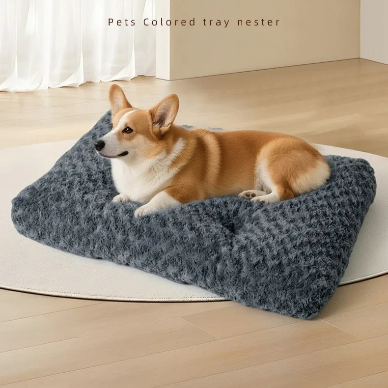 Super Soft Plush Dog Bed Mat Cat Beds for Small Medium Large Dogs Removable for Cleaning Puppy Cushion Claming Dog Beds Pet Bed
Super Soft Plush Dog Bed Mat Cat Beds for Small Medium Large Dogs Removable for Cleaning Puppy Cushion Claming Dog Beds Pet Bed