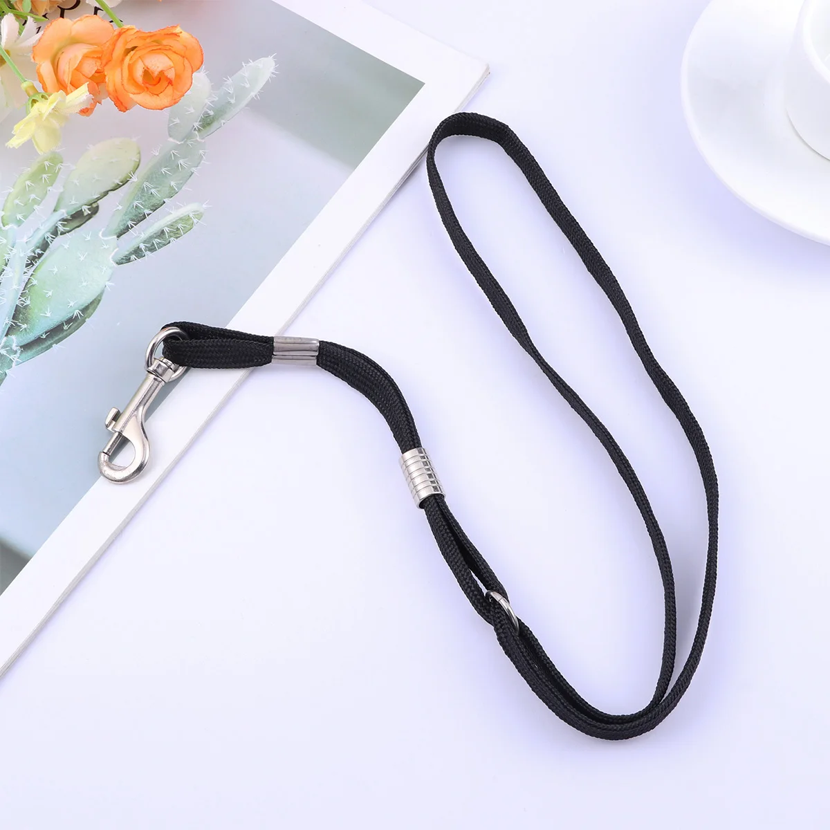 Pet Dog Grooming Table Cord Special Adjustable Snap Metal Slide for Grooming Bathing Training Pet Beauty
Pet Dog Grooming Table Cord Special Adjustable Snap Metal Slide for Grooming Bathing Training Pet Beauty