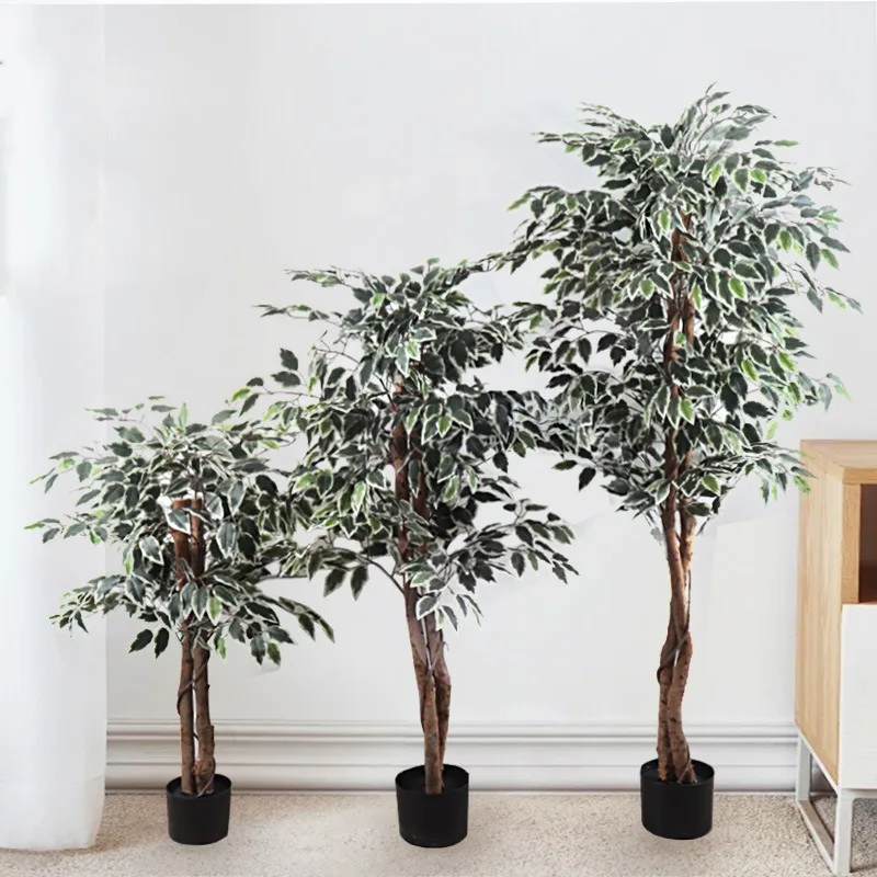 Artificial Banyan Tree, Plants, Artificial Greenery, White-edged Banyan Tree, Potted Plants, Artificial Trees, Customizable
Artificial Banyan Tree, Plants, Artificial Greenery, White-edged Banyan Tree, Potted Plants, Artificial Trees, Customizable