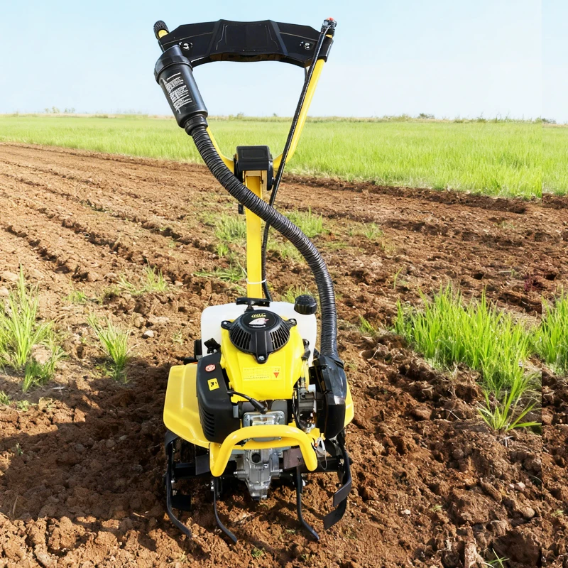 Cheap Price Cultivators Mini Tiller Agricultural Equipment Walking Rotary Tiller Garden Power Tiller Rotary Petrol Farm Tiller
Cheap Price Cultivators Mini Tiller Agricultural Equipment Walking Rotary Tiller Garden Power Tiller Rotary Petrol Farm Tiller
