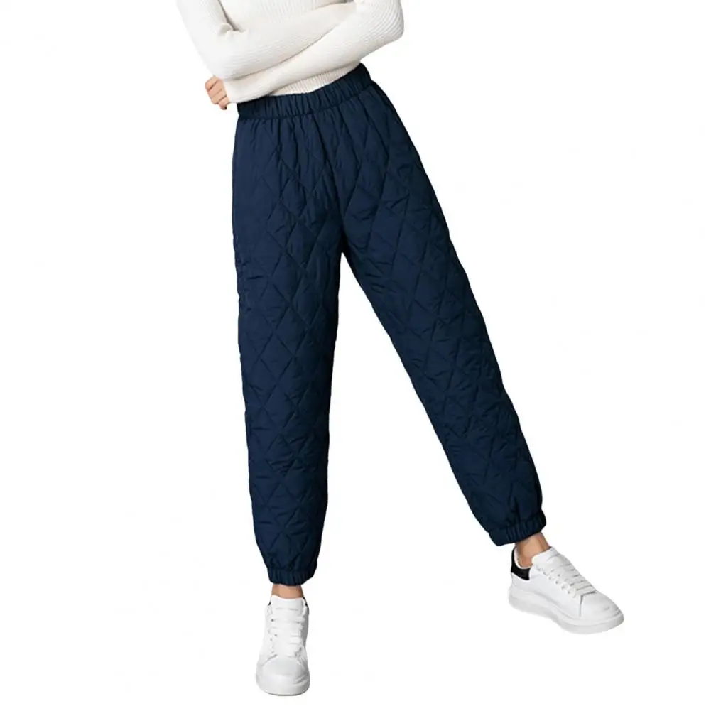 Warm Harem Pants Textured Winter Trousers Quilted Texture Winter Pants for Women High Waist Elastic Warm Sweatpants
Warm Harem Pants Textured Winter Trousers Quilted Texture Winter Pants for Women High Waist Elastic Warm Sweatpants