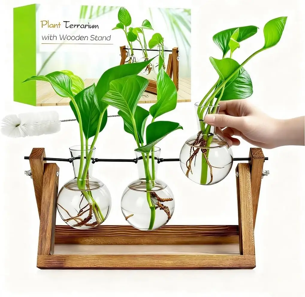 Wooden Stand with 3 Glass Bulb Vases for Plant Propagation - Indoor Decor and Gardening Gift
Wooden Stand with 3 Glass Bulb Vases for Plant Propagation - Indoor Decor and Gardening Gift