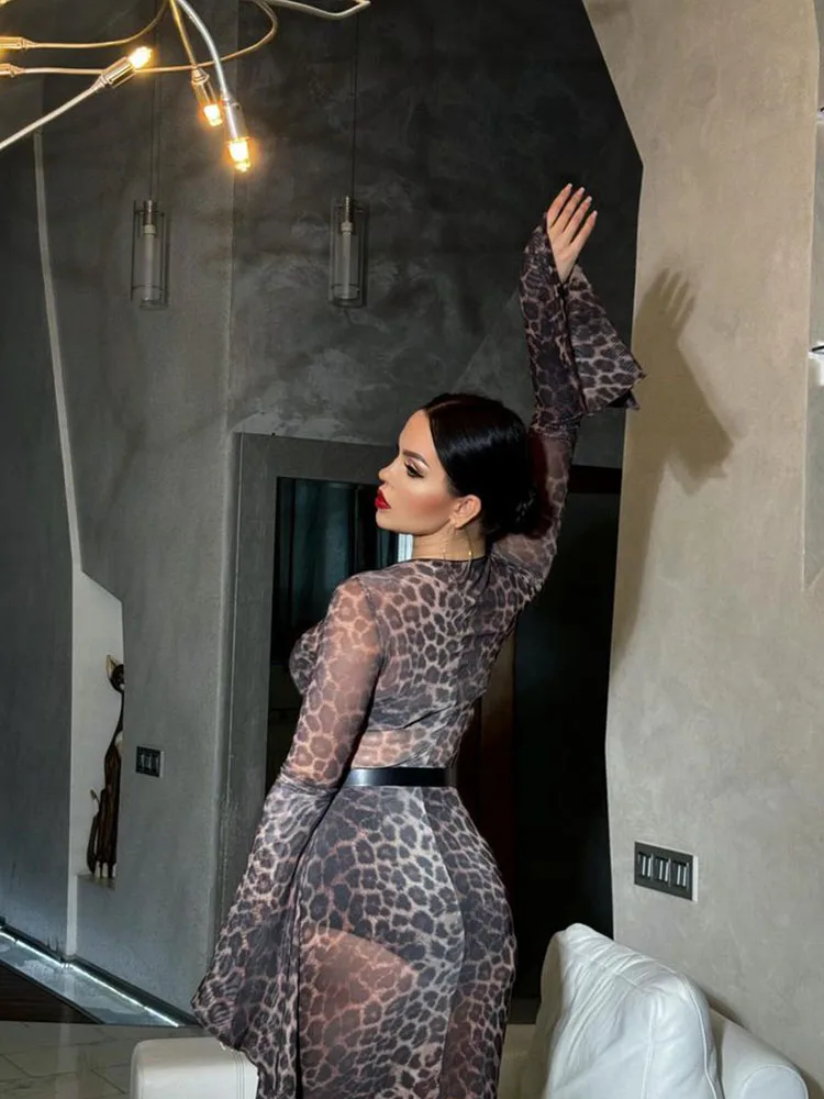 Women's Mesh Leopard Print Dress, Fashion Sexy Partywear Flare Sleeve Elegant Dress, O-Neck Slim Fit Long Vestidos Robe
Women's Mesh Leopard Print Dress, Fashion Sexy Partywear Flare Sleeve Elegant Dress, O-Neck Slim Fit Long Vestidos Robe