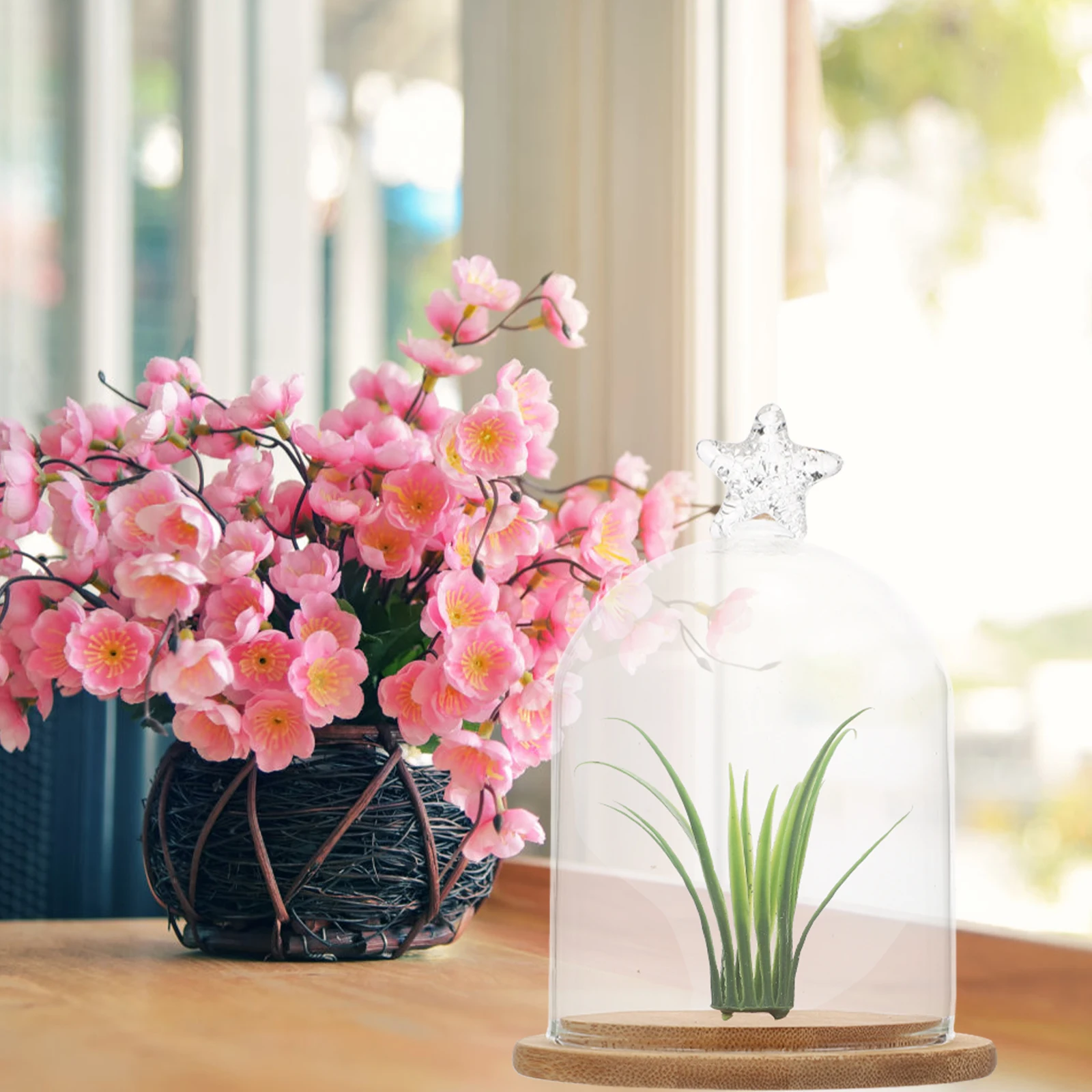 Decoration Preserved Flower Glass Cover Display Desktop Adornment Cake Transparent Eternal Wedding
Decoration Preserved Flower Glass Cover Display Desktop Adornment Cake Transparent Eternal Wedding