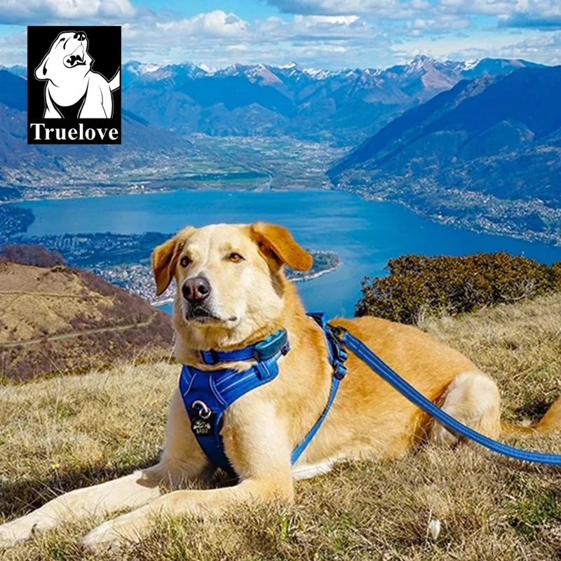 Truelove Самые продаваемые товары на складе, светоотражающая регулируемая шлейка для собак без тяги, дышащая сетка, шлейка для домашних животных, набор поводков и ошейников
Truelove Самые продаваемые товары на складе, светоотражающая регулируемая шлейка для собак без тяги, дышащая сетка, шлейка для домашних животных, набор поводков и ошейников