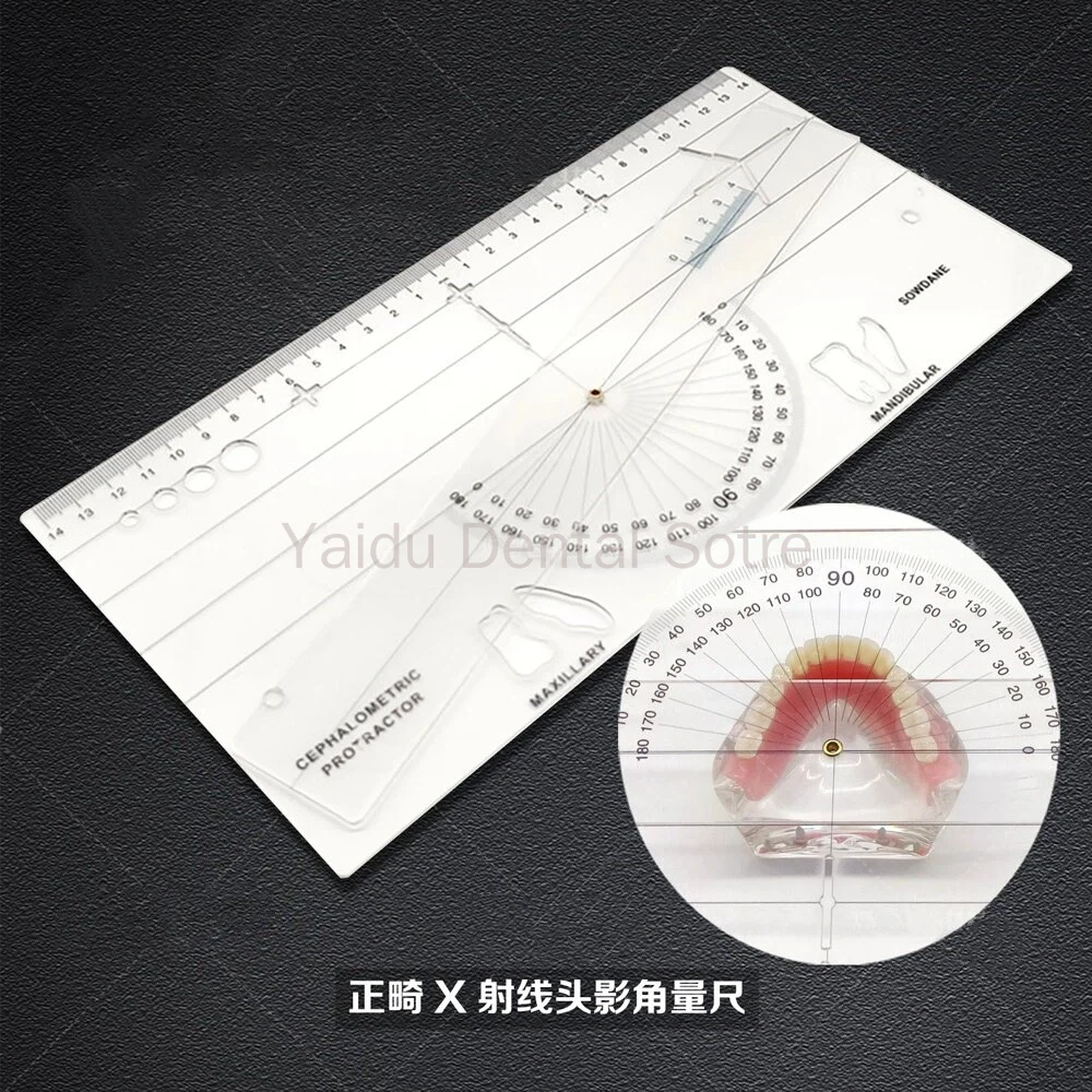 Dental Measuring Ruler Orthodontic X-Ray Cephalometric Ruler Head Shadow Angle Measuring Tool for Oral Care
Dental Measuring Ruler Orthodontic X-Ray Cephalometric Ruler Head Shadow Angle Measuring Tool for Oral Care