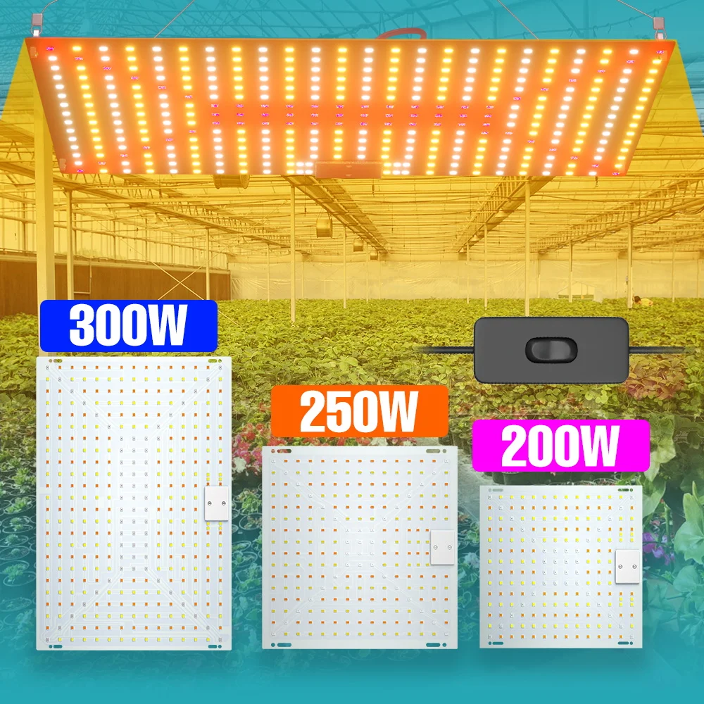 300W Full Spectrum Grow Light LED Quantum Board Plant Lamp 220V Greenhouse Tent Seeding Fruit Succulent Hydroponic Fill Lighting
300W Full Spectrum Grow Light LED Quantum Board Plant Lamp 220V Greenhouse Tent Seeding Fruit Succulent Hydroponic Fill Lighting