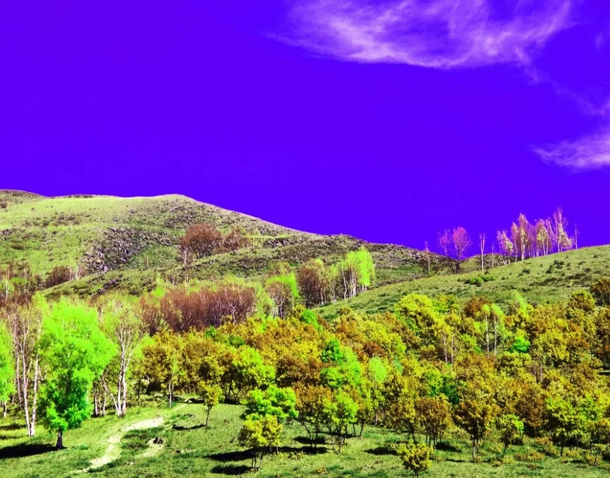 Детали рамы Flywoo Explorer LR O3 FPV — высокопрочное углеродное волокно для самостоятельной сборки на большие расстояния/замены
Детали рамы Flywoo Explorer LR O3 FPV — высокопрочное углеродное волокно для самостоятельной сборки на большие расстояния/замены