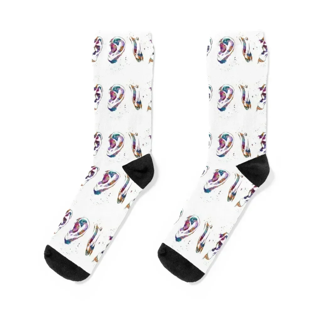 Ear Anatomy Front, Side and Back View Socks Running hiphop Stockings man new year Socks Woman Men's
Ear Anatomy Front, Side and Back View Socks Running hiphop Stockings man new year Socks Woman Men's
