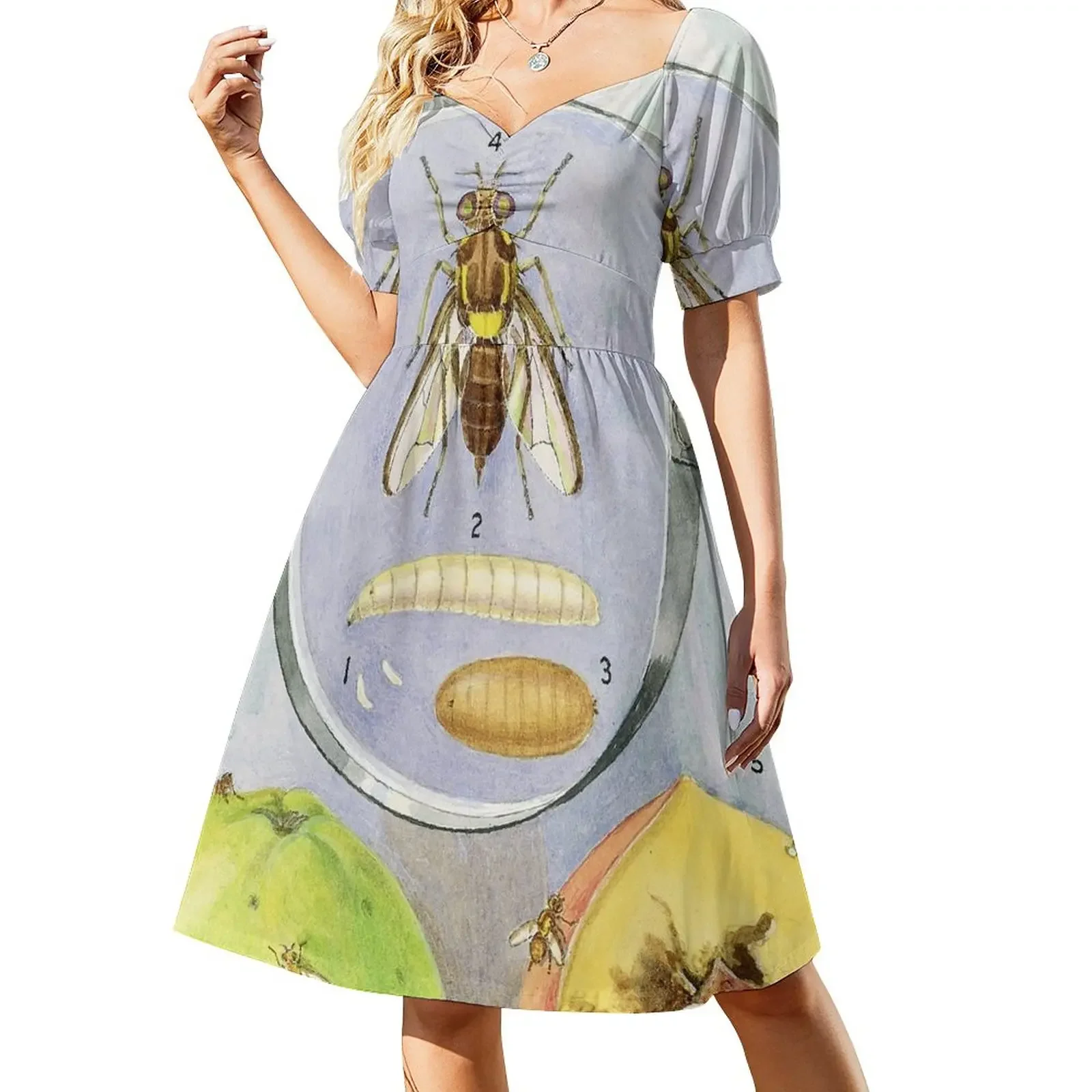 Queensland Fruit Fly Short-Sleeved Dress summer dress korean women Women's summer skirt Party dresses
Queensland Fruit Fly Short-Sleeved Dress summer dress korean women Women's summer skirt Party dresses
