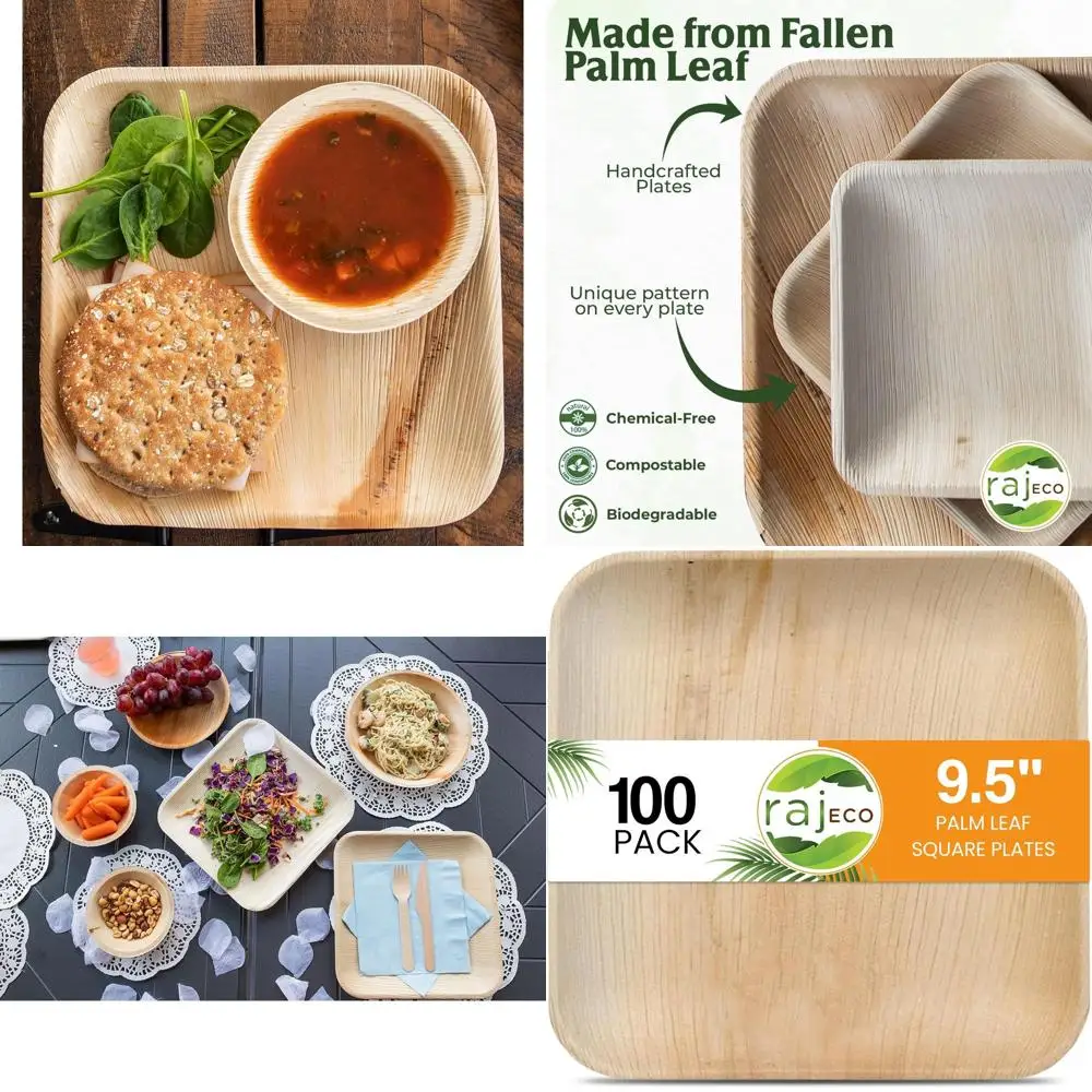 Raj 100-Count Large Square Palm Leaf Plates - Eco-Friendly, Reusable, and Durable for Parties, Meals, and Outdoors
Raj 100-Count Large Square Palm Leaf Plates - Eco-Friendly, Reusable, and Durable for Parties, Meals, and Outdoors