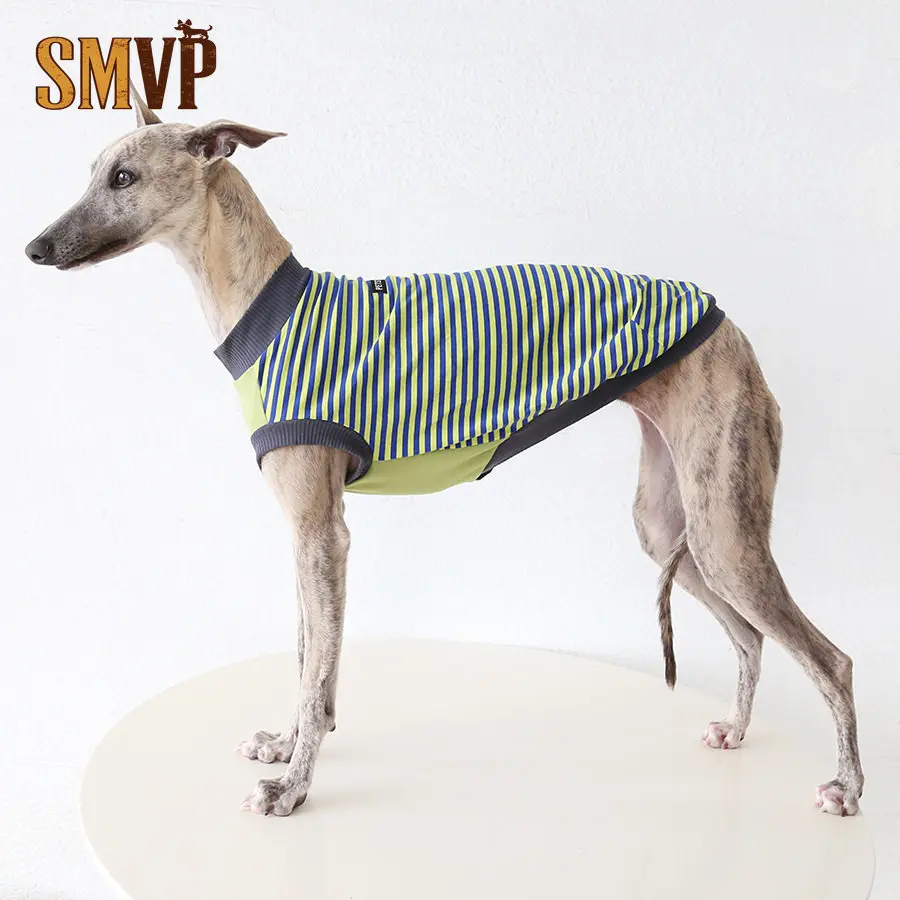 Spring and Summer Cotton Breathable Contrasting Striped Vest Casual Sports Style Medium and Large Pet Dog Clothes
Spring and Summer Cotton Breathable Contrasting Striped Vest Casual Sports Style Medium and Large Pet Dog Clothes