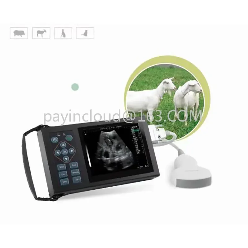 Portable Veterinary Ultrasound Machine Mechanical Fan Scan Diagnostic Instrument, High Configuration Version
Portable Veterinary Ultrasound Machine Mechanical Fan Scan Diagnostic Instrument, High Configuration Version