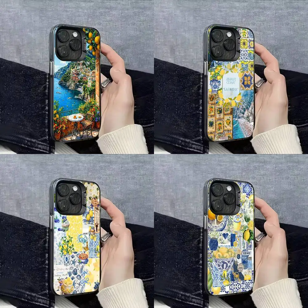 Amalfi Coast Lemon Sea Ocean Phone Case For iPhone 16,15,14,13,12,11,Mini,Pro,E,SE4,XS,MAX Black IMD Box
Amalfi Coast Lemon Sea Ocean Phone Case For iPhone 16,15,14,13,12,11,Mini,Pro,E,SE4,XS,MAX Black IMD Box