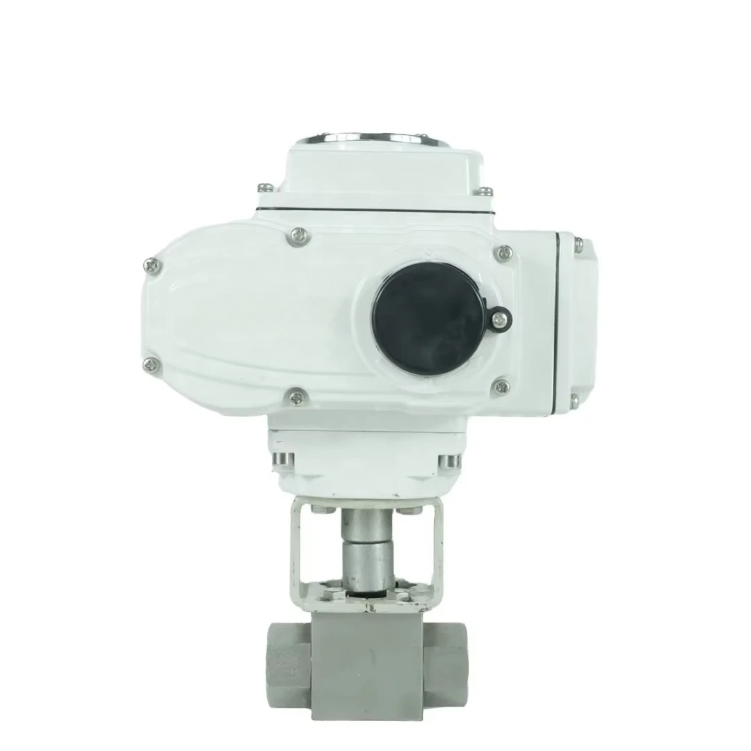 3000 Psi High Pressure Electric Actuator Ball Valve On/off Type Stainless Steel 316 2 Way Motorized Ball Valve NPT Thread
3000 Psi High Pressure Electric Actuator Ball Valve On/off Type Stainless Steel 316 2 Way Motorized Ball Valve NPT Thread
