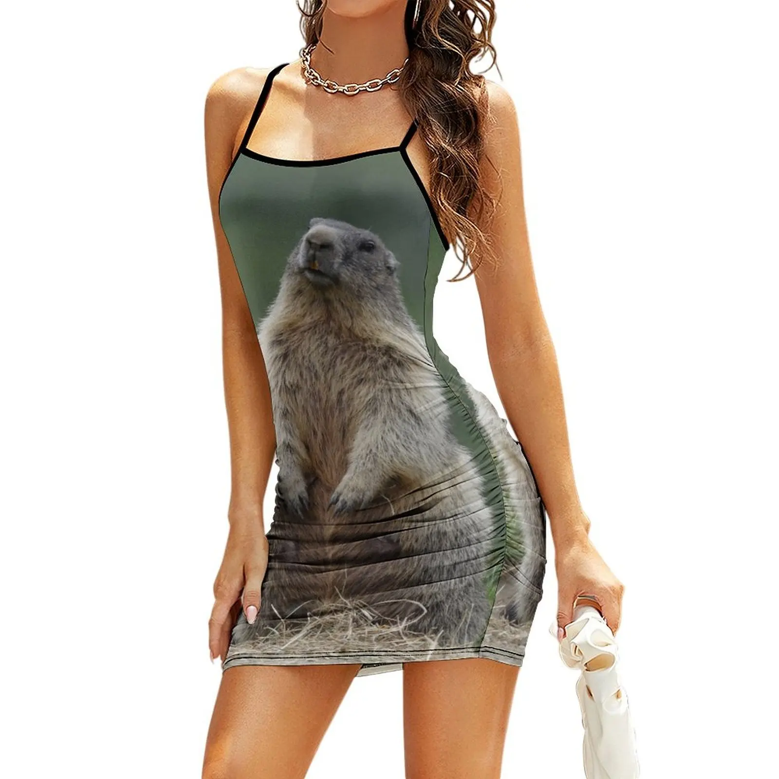 Marmota marmota Sling Dress summer dresses womens 2025 evening dresses ladies evening dresses women Dress
Marmota marmota Sling Dress summer dresses womens 2025 evening dresses ladies evening dresses women Dress
