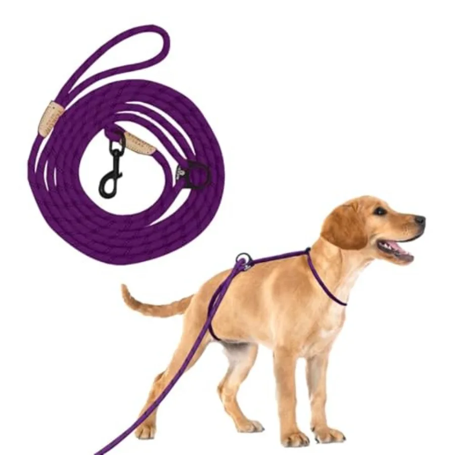 No Pull No Choke Long Rope Dog Anti Pulling Dog Dog Harness and Leash Dog Leads for Walking Double Hook and Escape Proof for Al
No Pull No Choke Long Rope Dog Anti Pulling Dog Dog Harness and Leash Dog Leads for Walking Double Hook and Escape Proof for Al