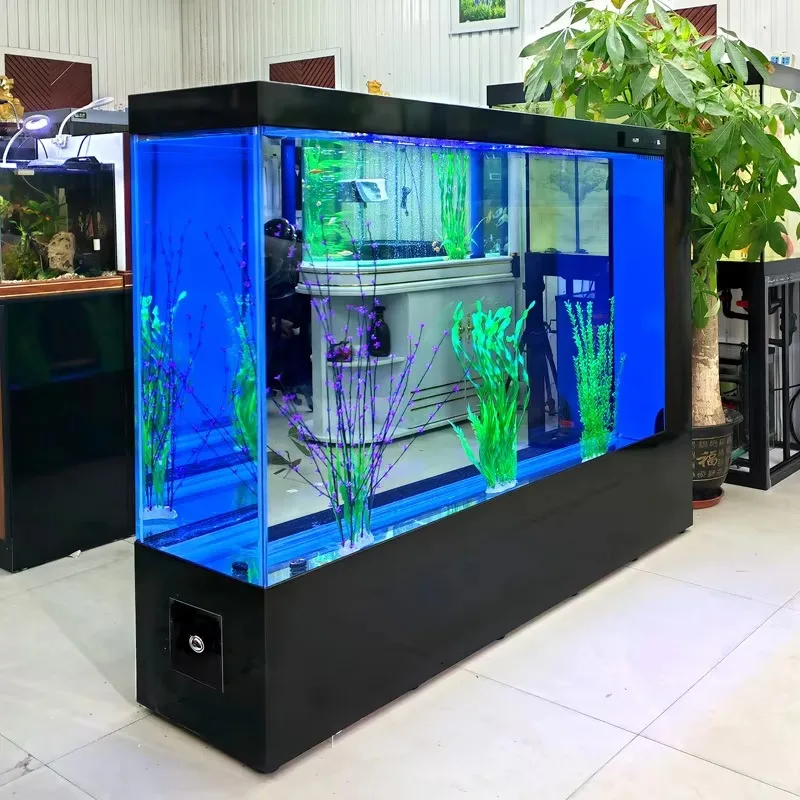 Custom 500-1000L Ultra Clear Glass Aquarium Large Fish Tank with Intelligent Filtration System for Home & Commercial Use
Custom 500-1000L Ultra Clear Glass Aquarium Large Fish Tank with Intelligent Filtration System for Home & Commercial Use