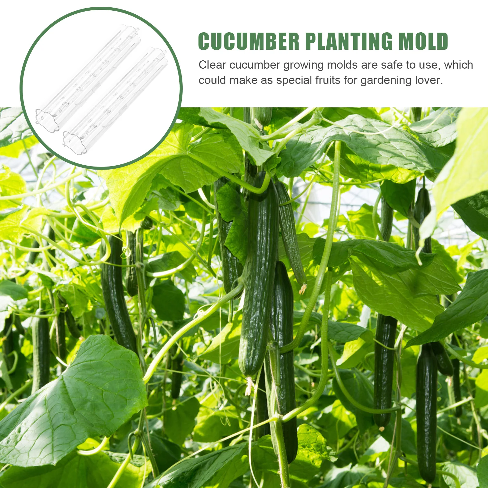 3 Pcs Vegetable Shaping Mold Cucumber Fruit Growth Accessories Garden Greenhouse Tools Lightweight Flexible Practical
3 Pcs Vegetable Shaping Mold Cucumber Fruit Growth Accessories Garden Greenhouse Tools Lightweight Flexible Practical