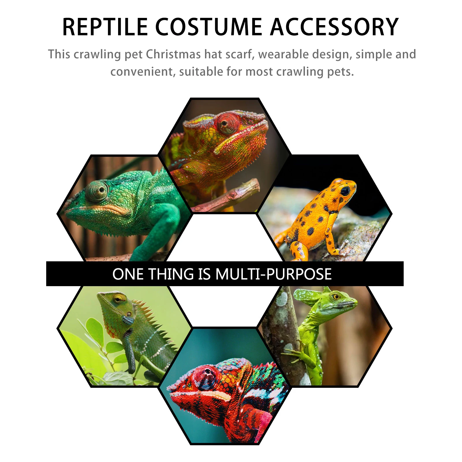 Santa for Pet Costume Accessory Lightweight Comfortable Reptile Hat Christmas Lizard Scarf Pet Lizard Hat Reptile Christmas 
Santa for Pet Costume Accessory Lightweight Comfortable Reptile Hat Christmas Lizard Scarf Pet Lizard Hat Reptile Christmas