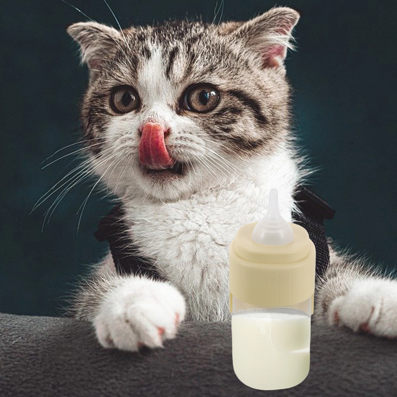 Bottle Kitten Puppy Feeder Small Easy Portable Wide Mouth Reusable Dog Cat Nursing Bottle Liquid Feeding
Bottle Kitten Puppy Feeder Small Easy Portable Wide Mouth Reusable Dog Cat Nursing Bottle Liquid Feeding