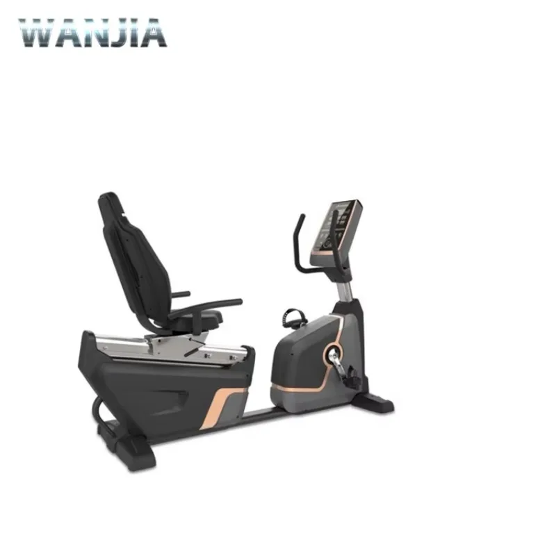 New Design Premium Recumbent Exercise Bike With Smooth Magnetic Resistance System For Home Gym Workouts
New Design Premium Recumbent Exercise Bike With Smooth Magnetic Resistance System For Home Gym Workouts