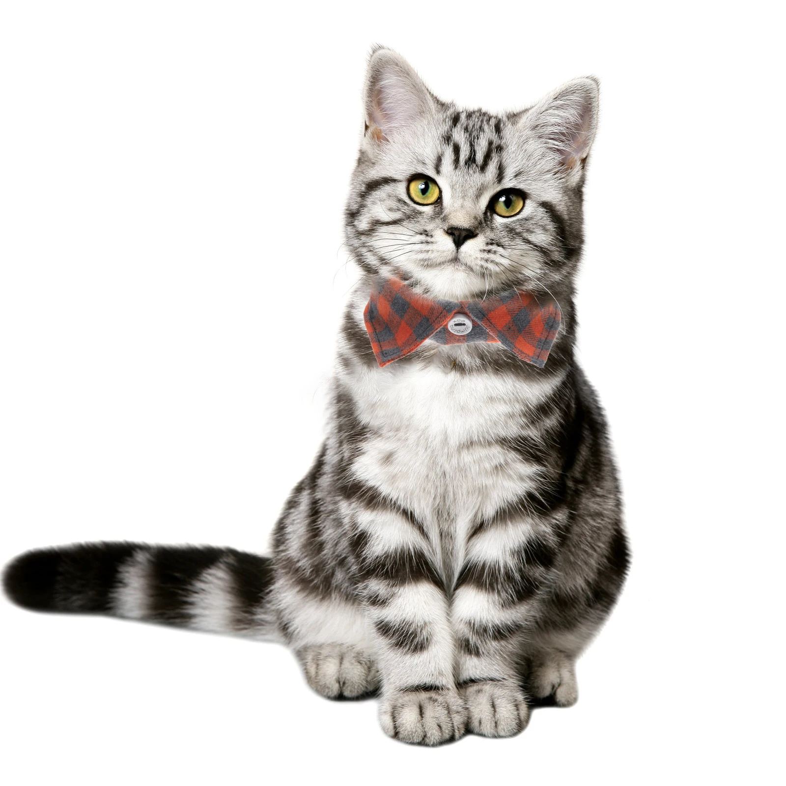 Cat Collar Adjustable Breakaway Bell Decorative Kitten Neck Collar for Parties Holidays Daily Wear Kitten Collars 
Cat Collar Adjustable Breakaway Bell Decorative Kitten Neck Collar for Parties Holidays Daily Wear Kitten Collars