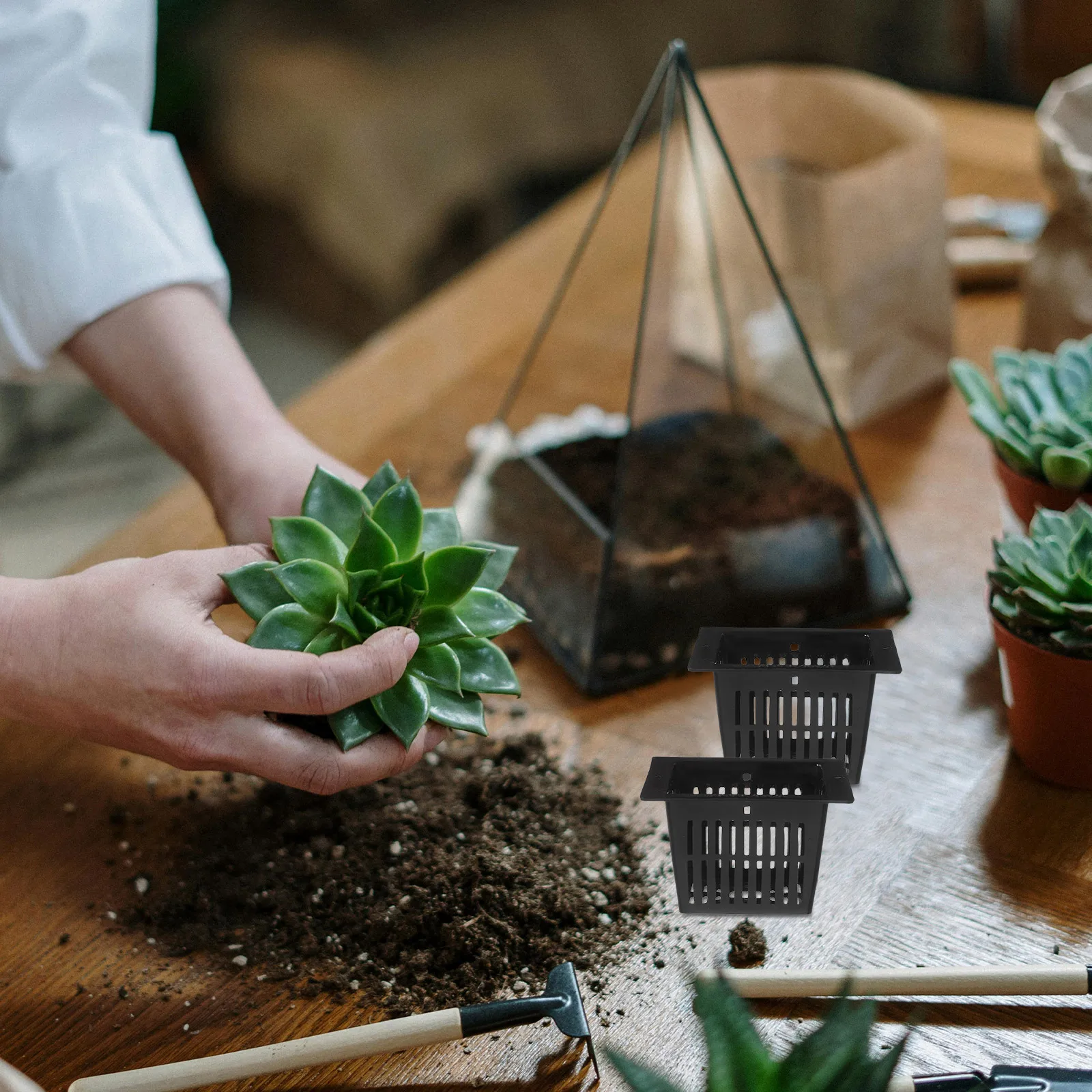Hydroponic Square Planting Baskets Black Tall Flowerpot with Holes for Healthy Roots Aeration Efficient Growth Soilless Culture
Hydroponic Square Planting Baskets Black Tall Flowerpot with Holes for Healthy Roots Aeration Efficient Growth Soilless Culture