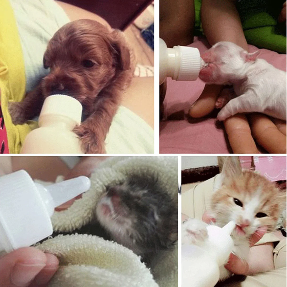 Pet Feeding Bottle Set Newborn Kitten Bottles Puppy Milk Sheep Nurser for Dog Cat Baby
Pet Feeding Bottle Set Newborn Kitten Bottles Puppy Milk Sheep Nurser for Dog Cat Baby