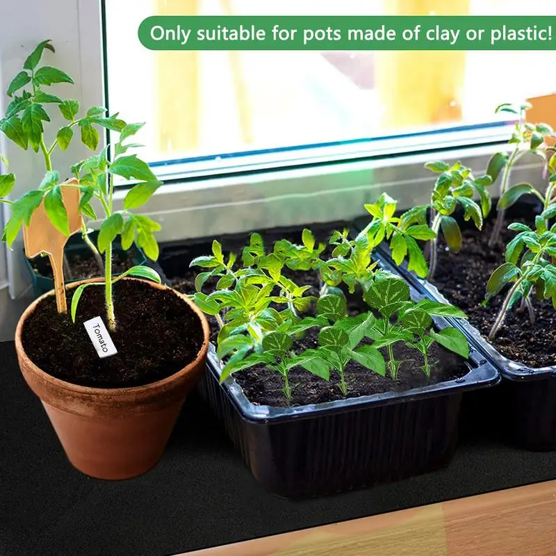Automatic Watering For Indoor Plants Plant Water System Watering Capillary Mat For Home Greenhouse Hydroponics Indoor Potted
Automatic Watering For Indoor Plants Plant Water System Watering Capillary Mat For Home Greenhouse Hydroponics Indoor Potted
