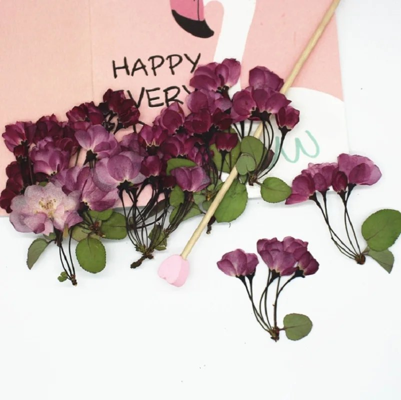 Pressed Dried Cerasus sp Cherry Malus Flower With Stem Epoxy Resin Jewelry Making Makeup Face Bookmark Nail Art Craft DIY
Pressed Dried Cerasus sp Cherry Malus Flower With Stem Epoxy Resin Jewelry Making Makeup Face Bookmark Nail Art Craft DIY