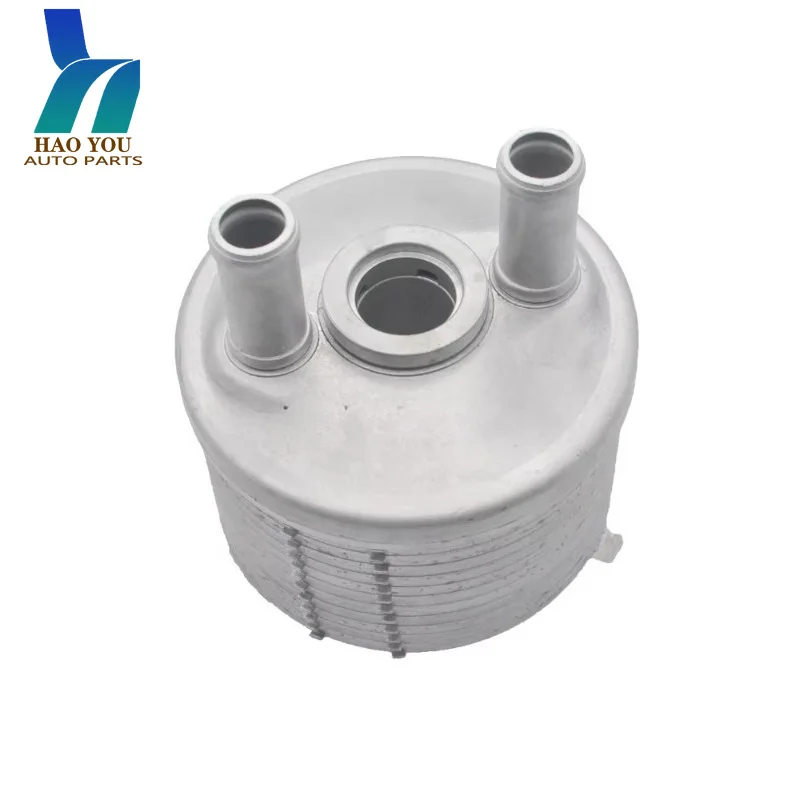 09G409061 24117551091 Cooling System New Transmission Oil Cooler for Audi A3 TT VW
09G409061 24117551091 Cooling System New Transmission Oil Cooler for Audi A3 TT VW