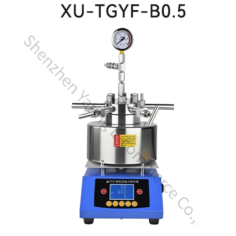 TGYF-B0.1 Magnetic stirring mechanical stirring high pressure reactor 100ml laboratory 304 stainless steel digestion tank
TGYF-B0.1 Magnetic stirring mechanical stirring high pressure reactor 100ml laboratory 304 stainless steel digestion tank